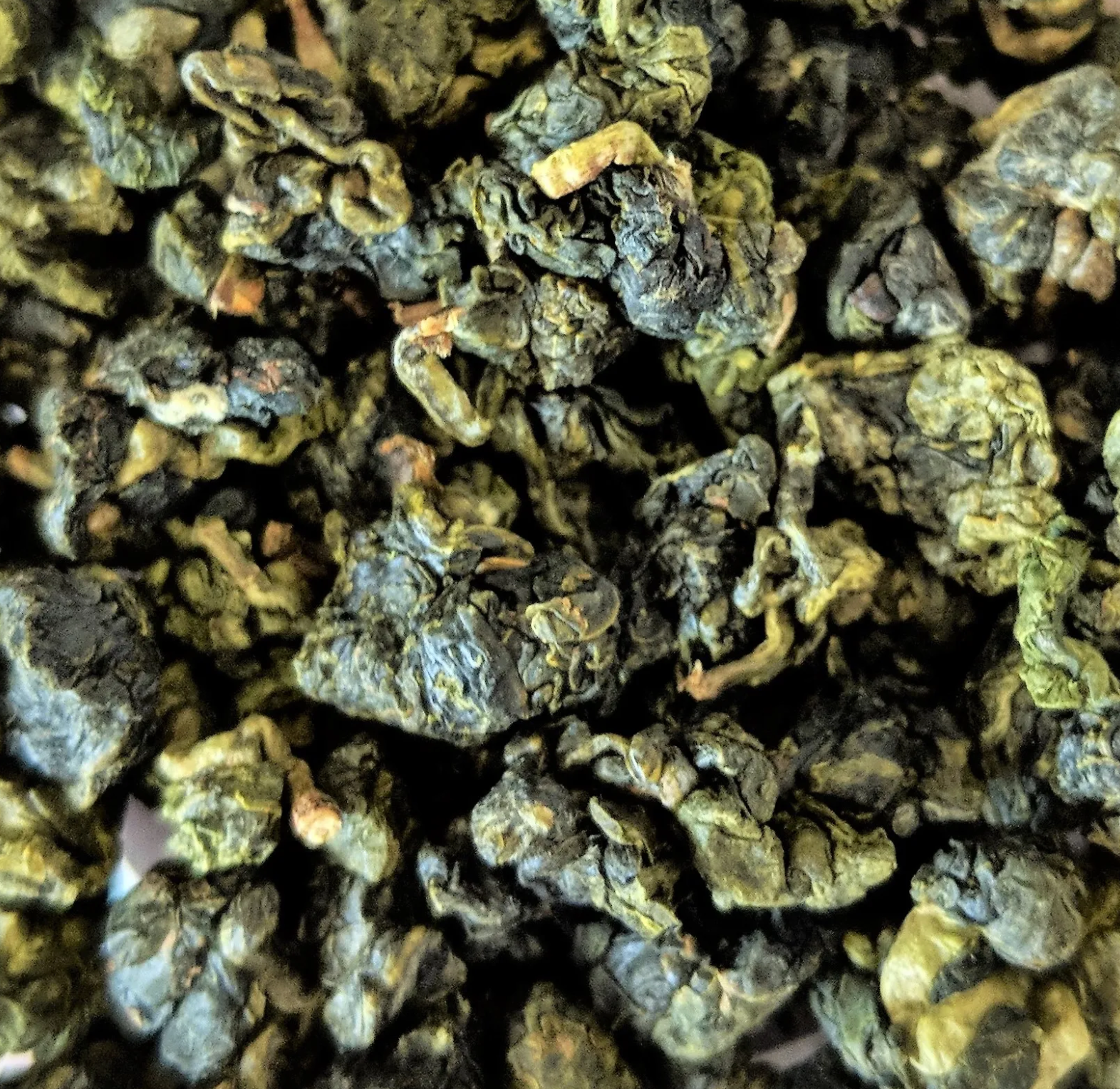 Jin Xuan (Oolong au lait)