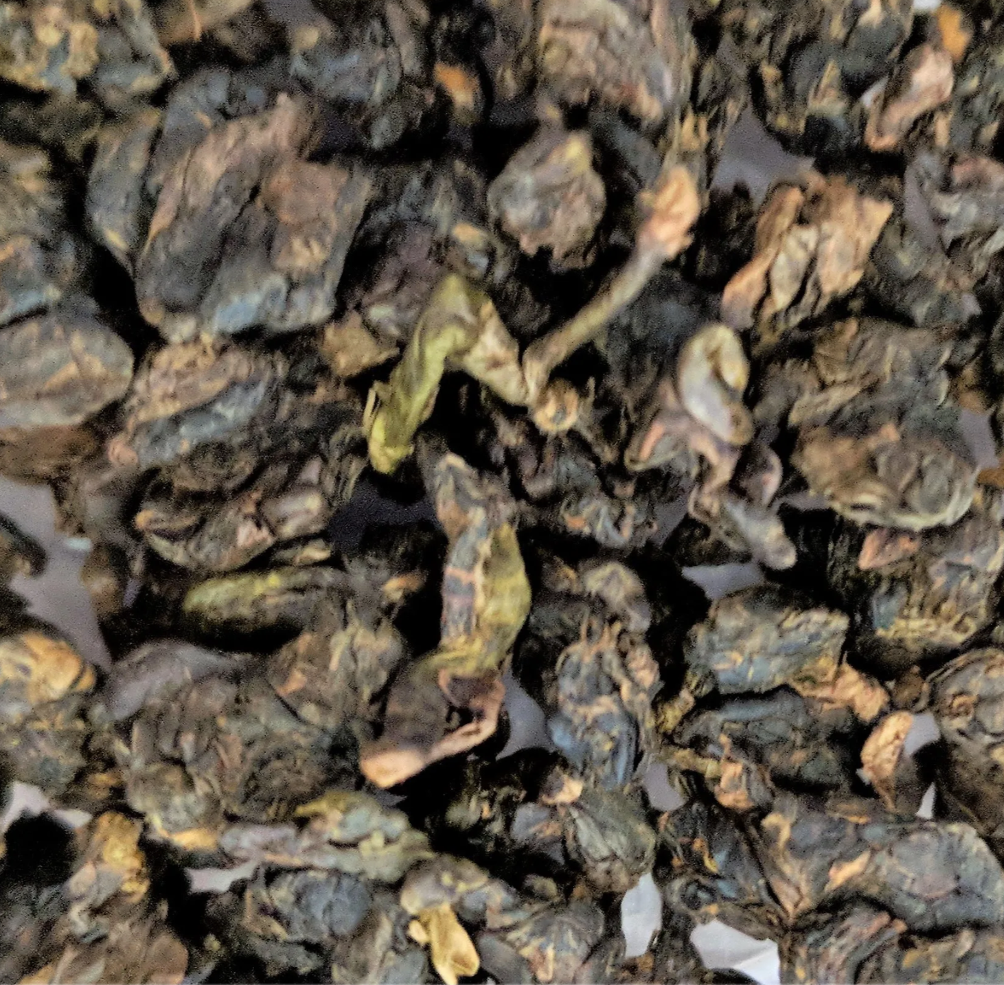Oolong GABA d'Alishan